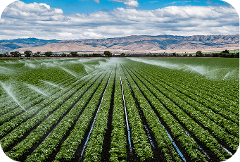 Irrigation sprayer watering farm fields supported by input financing