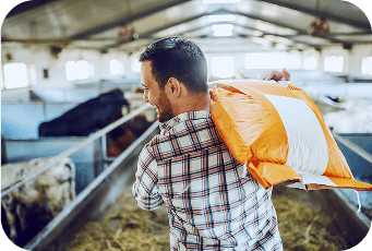 Happy farmer feeding animals in cattle after farm input loan support