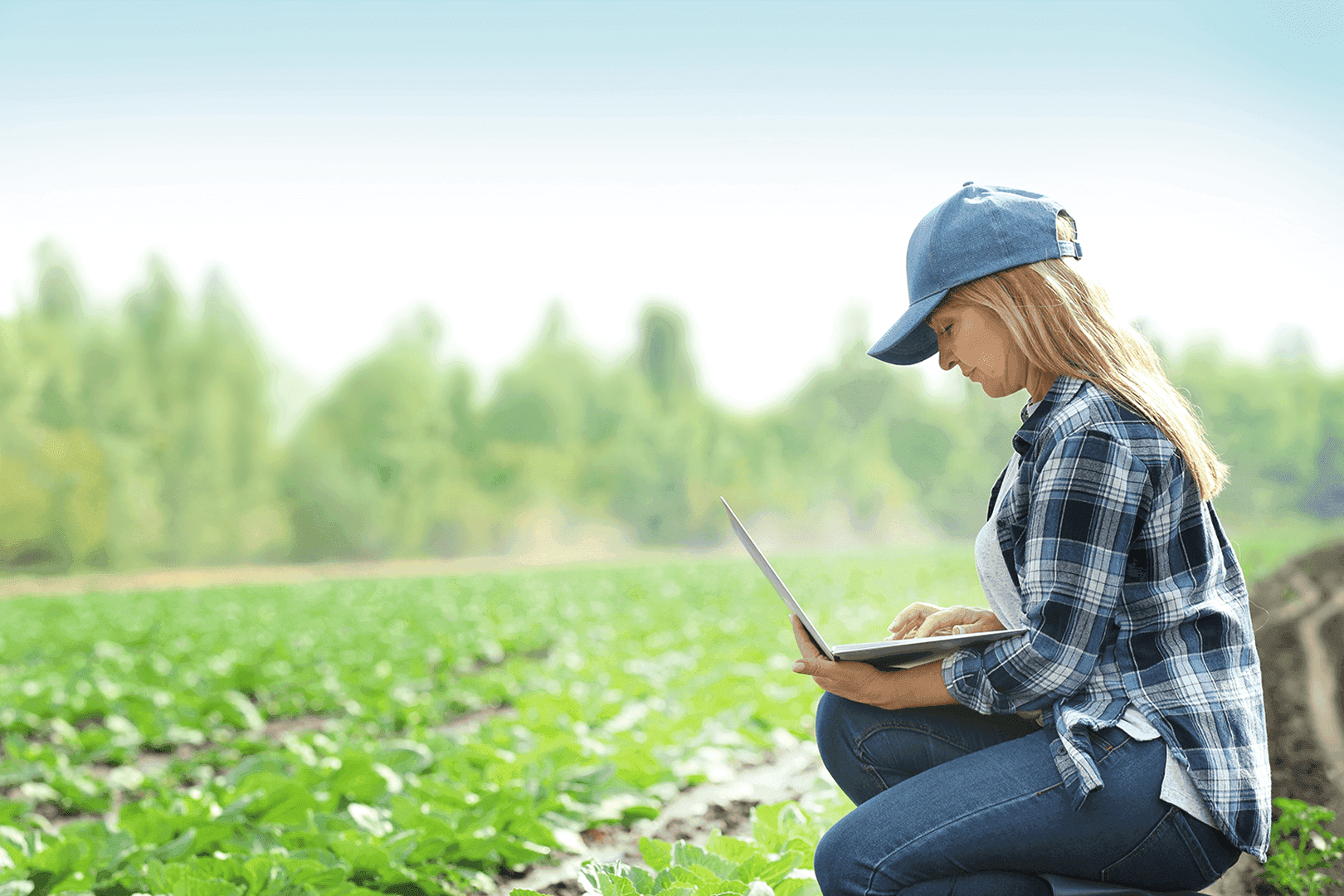 Farmer using laptop in the field to receive farm finance tips and updates via AgriScope.