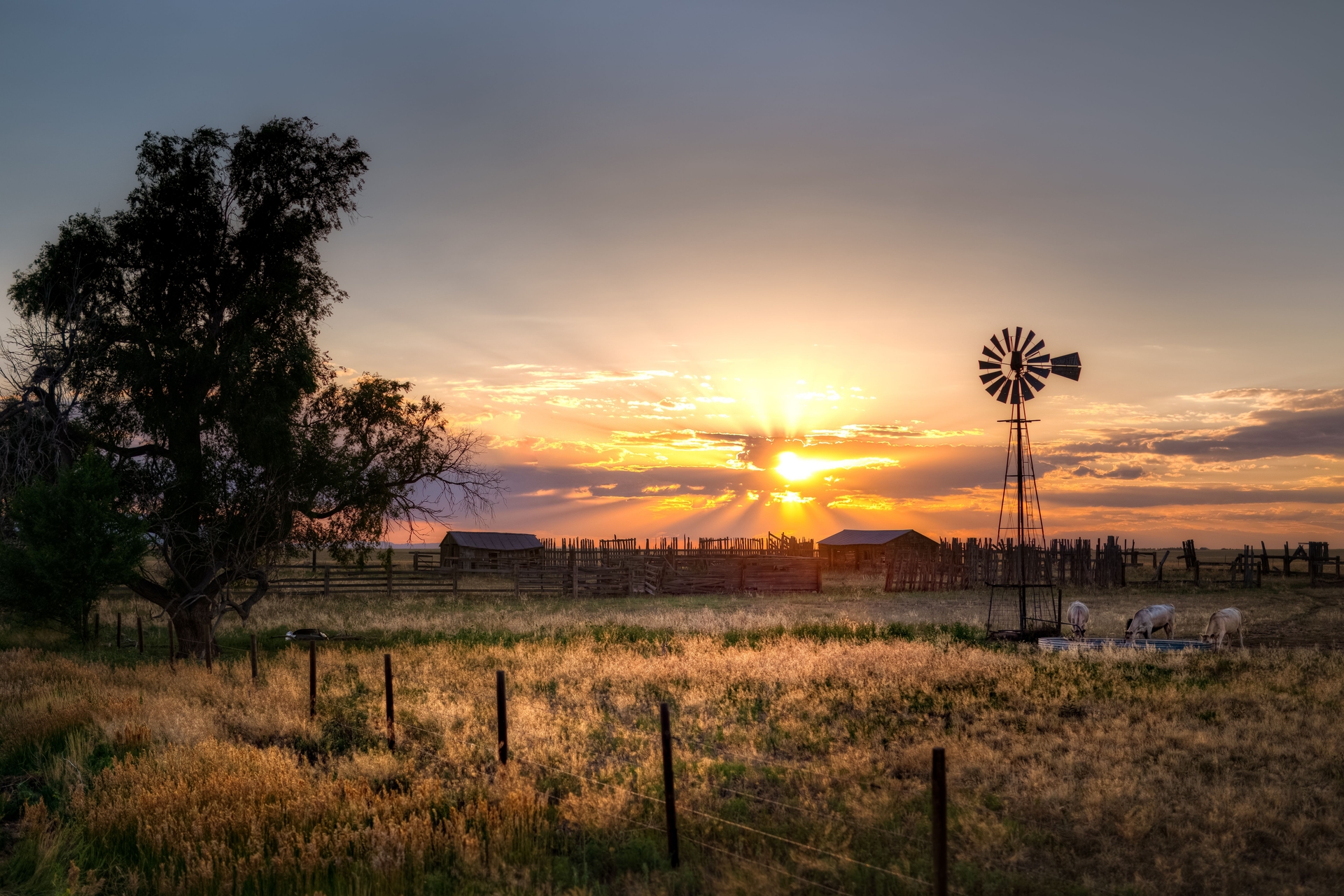 Farm silos and barns at sunset reflecting seasonal farm loan planning for operations