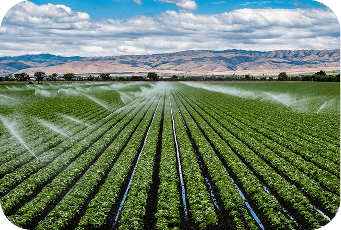 Irrigation sprayer watering farm fields supported by input financing